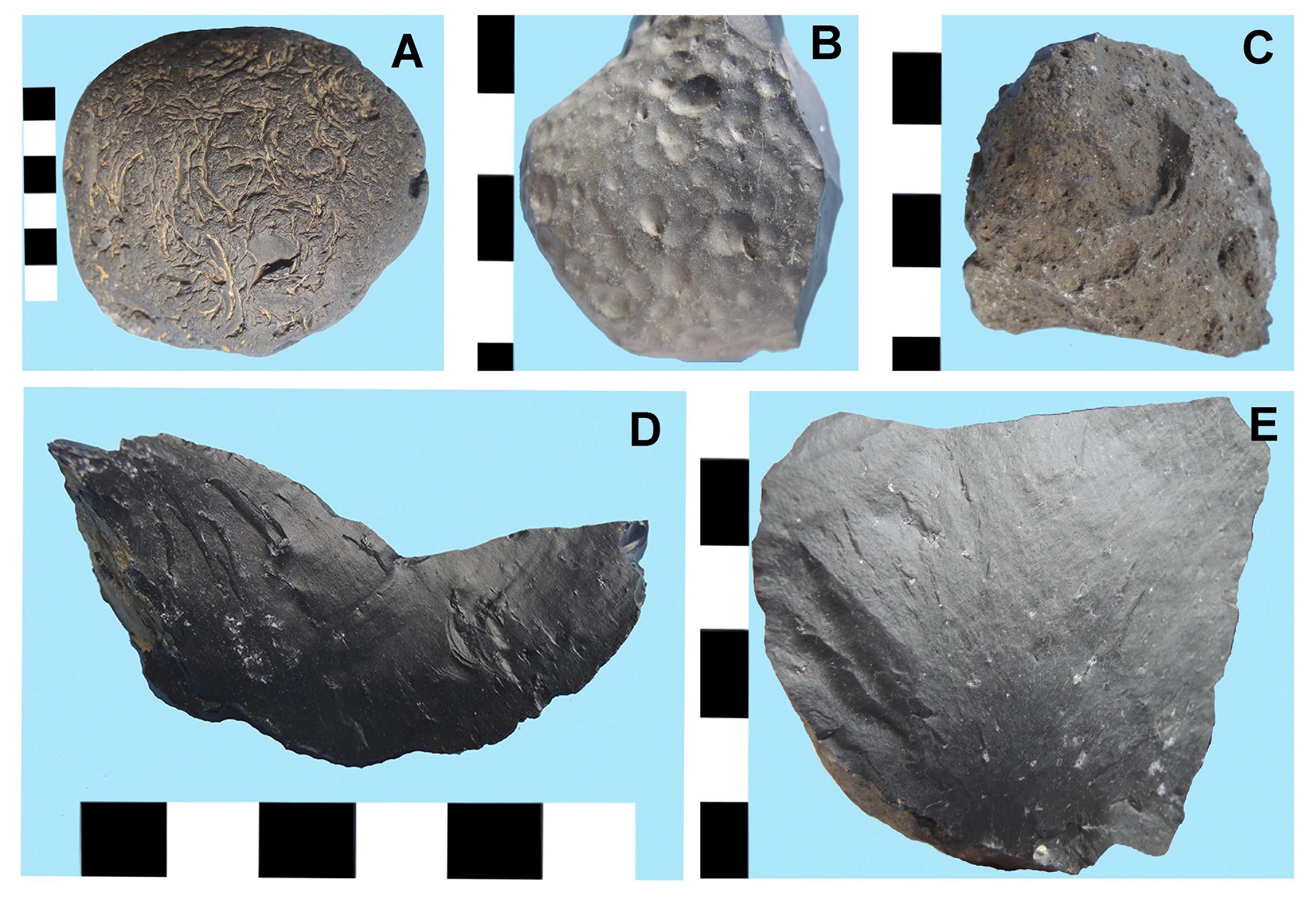 Cinco ejemplos de roca de grano fino oscura tipo Potrok Aike